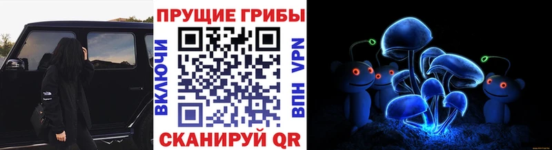 Псилоцибиновые грибы прущие грибы Кубинка